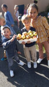 La cueillette des pommes du jardin